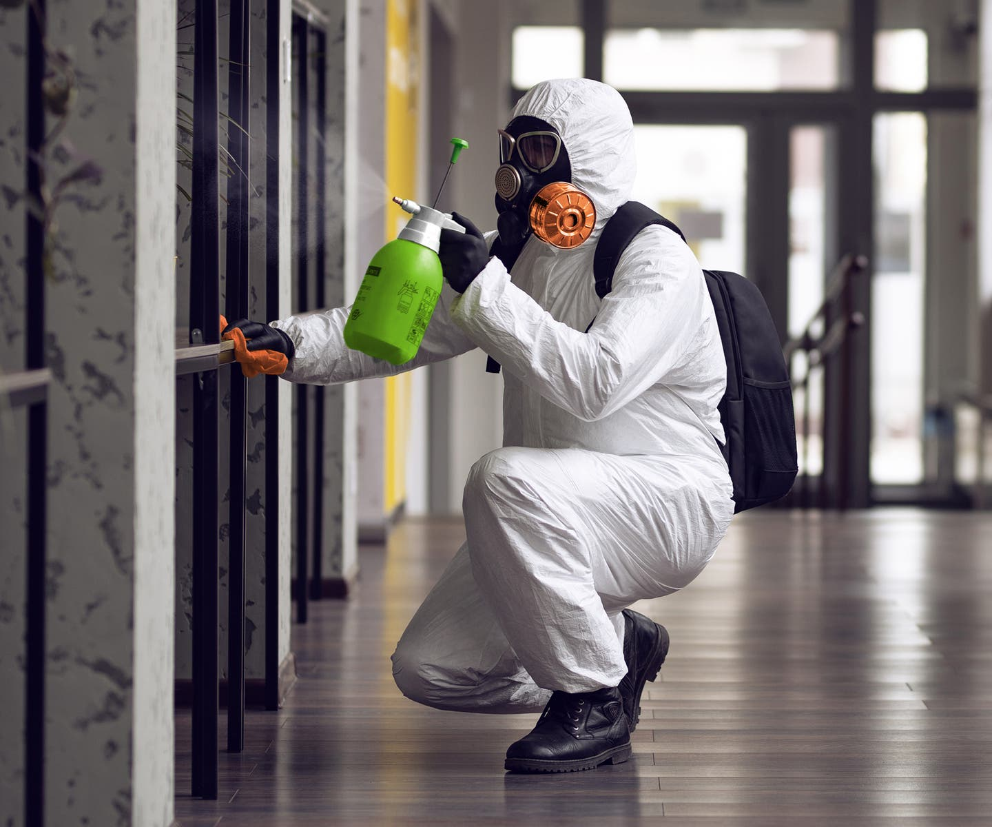 The Black Mold Exposure Problem Affecting South Florida Homes & Offices